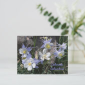Colorado Columbine Briefkaart (Staand voorkant)