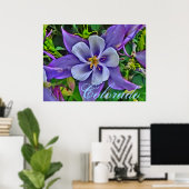 Colorado columbine poster (Thuiskantoor)