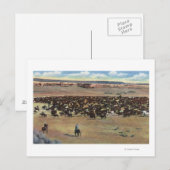 Colorado - Cowboys Rounding Briefkaart (Voorkant / Achterkant)