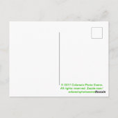 Colorado Elk Briefkaart (Achterkant)