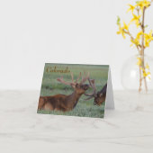 colorado elk note card kaart (Gele Bloem)