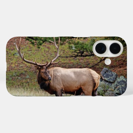 Colorado Elk Telefoonhoesje Case-Mate iPhone Case (Achterkant (horizontaal))