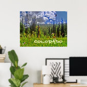 Colorado Forrest affiche pittoresque (Bureau à domicile)