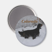 Colorado Gordon Setter Magnet (Recto/Verso)