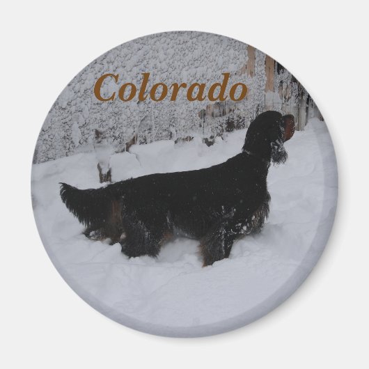 Colorado Gordon Setter Magnet (Devant)
