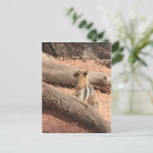 Colorado Ground Squirrel Briefkaart (Staand voorkant)