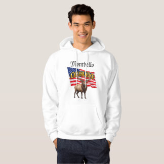 Colorado heren sweatshirt met capuchon