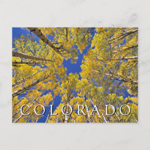 Colorado herfst Espenbos in de herfst Briefkaart