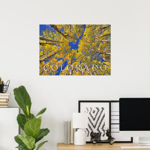 Colorado herfst   Espenbos in de herfst Poster