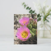 Colorado Hookless Cactus Briefkaart (Staand voorkant)