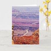 Colorado Kaart (Gele Bloem)