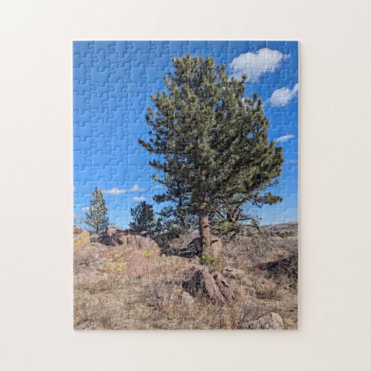 Colorado-landschap langs het Flatirons Trail  Legpuzzel (Verticaal)