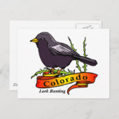 Colorado Lark Bunting Briefkaart (Voorkant / Achterkant)