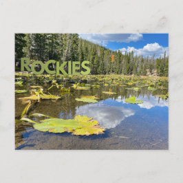 Colorado Lily Pad Rocky Mountains Lake Briefkaart