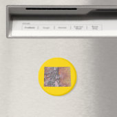 Colorado Map Magnet Magneet (Insitu (Vaatwasser))