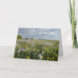 Colorado Mountain Wildflower All Occasion Kaart