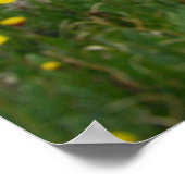 Colorado Mountains Poster (Hoek)