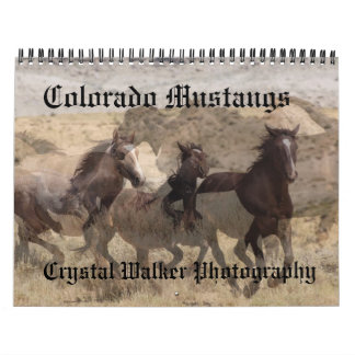 Colorado Mustangs Calendar Kalender
