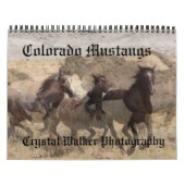Colorado Mustangs Calendar Kalender (Hoes)