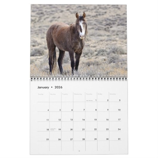 Colorado Mustangs Calendar Kalender (Jan 2026)