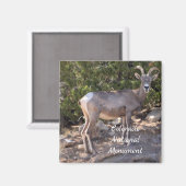 Colorado National Monument Magneet (Voorkant / Achterkant)