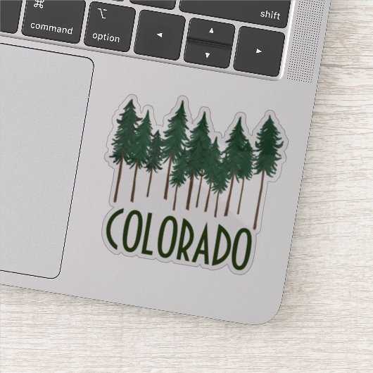 COLORADO Pine Trees Ponderosa Sticker (Detail)