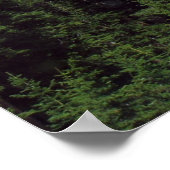 Colorado Poster (Hoek)