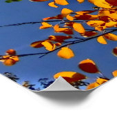 Colorado poster de tremble de chute (Coin)