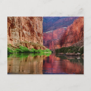 Colorado rivier in Grand Canyon, AZ Briefkaart