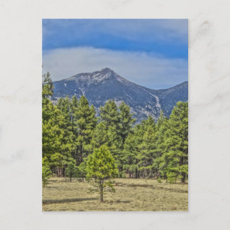 Colorado Rockies Briefkaart