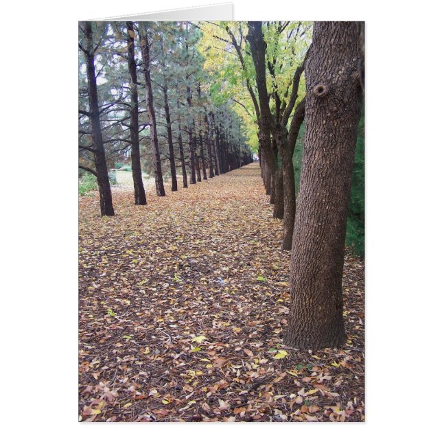 Colorado Route d'automne (Devant)