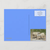 Colorado schilderachtig briefkaart (Achterkant)