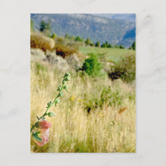 Colorado September Briefkaart