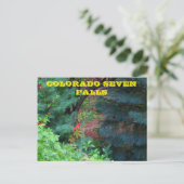 Colorado Seven Falls avec arbres CARTE POST (Debout devant)