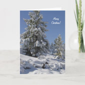 Colorado Snow-kerstkaart Feestdagen Kaart (Voorkant)
