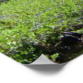 Colorado Splendor Print (Hoek)