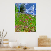 Colorado spring poster (Keuken)