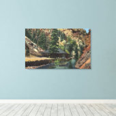 Colorado Springs, CO - forel Canvas Afdruk (Insitu (Houten vloer))