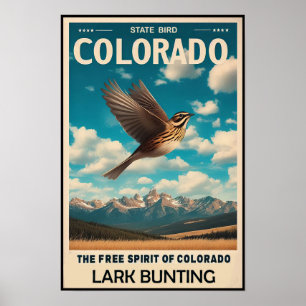 Colorado State Bird - Lark Bunting Poster