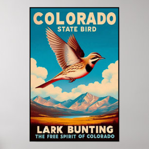 Colorado State Bird - Lark Bunting Poster