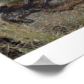 Colorado Sunset Poster (Hoek)