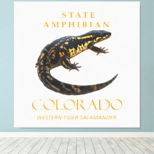 Colorado Territory Amfibie De Westelijke Tijger Canvas Afdruk