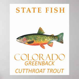 Colorado Territory Vis Vis De Greenback Forel Poster
