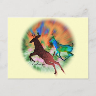 Colorado Wild Briefkaart