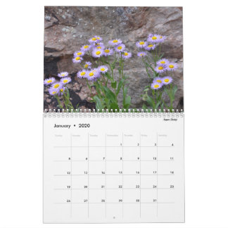 Colorado Wildbloemen Kalender
