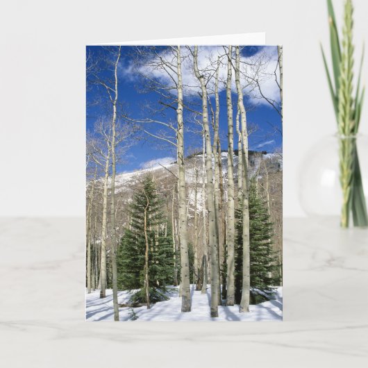 Colorado Wilderness Kaart (Voorkant)