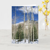 Colorado Wilderness Kaart (Gele Bloem)