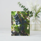 Colorado Wine Land Briefkaart (Staand voorkant)