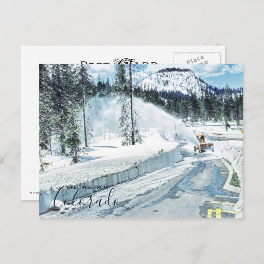 Colorado Winter Deep Snow Briefkaart (Voorkant / Achterkant)