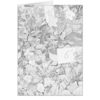 Coloration du marché de fleur